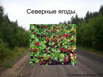 Северные ягоды