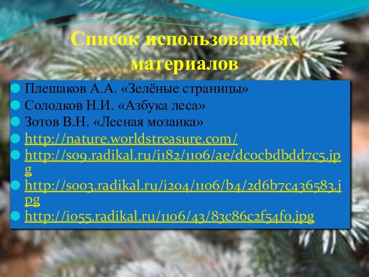 Список использованных материаловПлешаков А.А. «Зелёные страницы»Солодков Н.И. «Азбука леса» Зотов В.Н. «Лесная мозаика»http://nature.worldstreasure.com/ http://s09.radikal.ru/i182/1106/ae/dc0cbdbdd7c5.jpghttp://s003.radikal.ru/i204/1106/b4/2d6b7c436583.jpghttp://i055.radikal.ru/1106/43/83c86c2f54f0.jpg