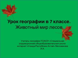 Урок географии в 7 классе.Животный мир лесов