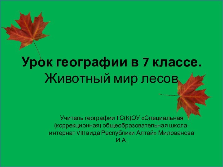 Урок географии в 7 классе. Животный мир лесовУчитель географии ГС(К)ОУ «Специальная (коррекционная)