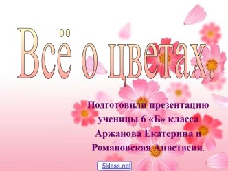 Всё о цветах