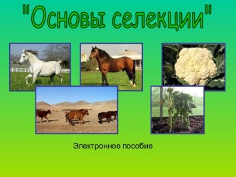 Основы селекции.