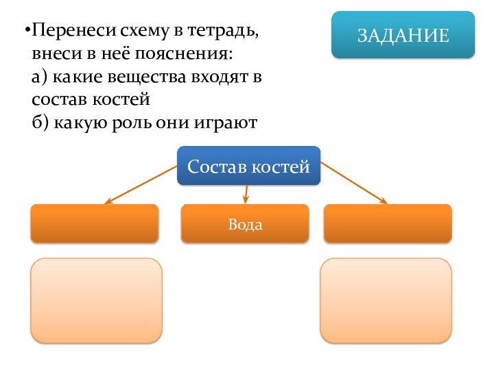 ЗАДАНИЕПеренеси схему в тетрадь, внеси в неё пояснения:а) какие вещества входят в
