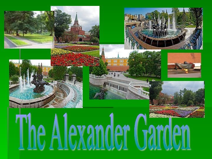 The Alexander Garden