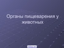 Органы пищеварения животных