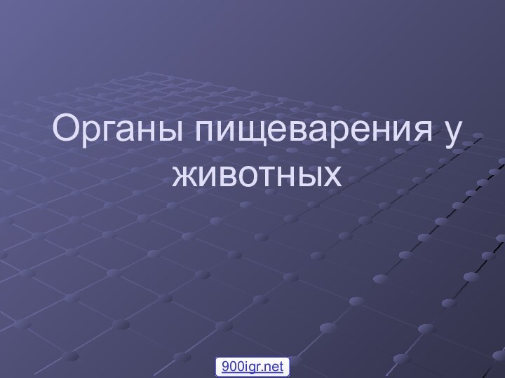 Органы пищеварения у животных