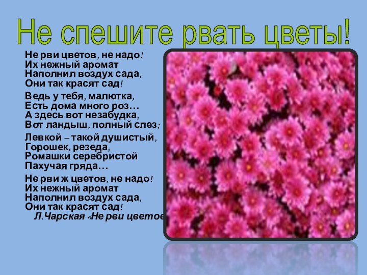 Не рви цветов, не надо!Их нежный ароматНаполнил воздух сада,Они так красят сад!Ведь