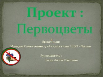 Первоцветы 5 класс