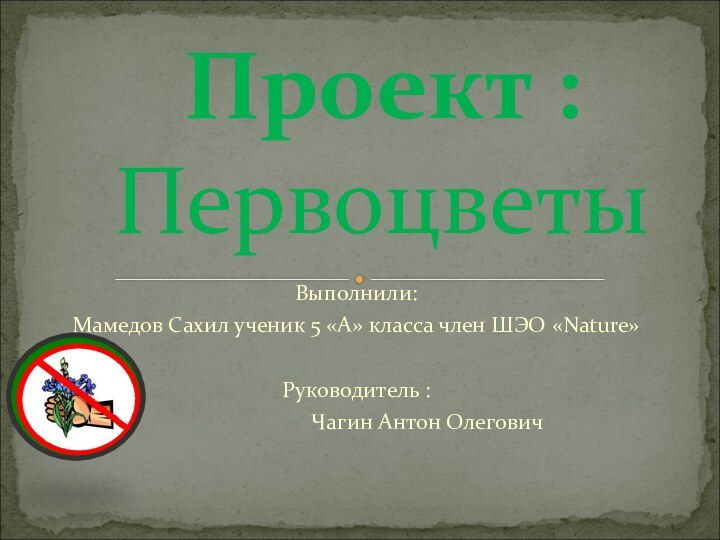 Выполнили:Мамедов Сахил ученик 5 «А» класса член ШЭО «Nature» Руководитель :