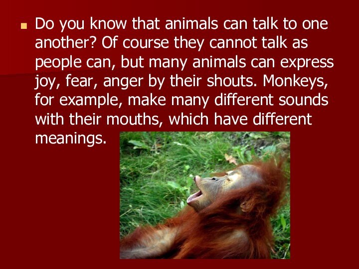 Do you know that animals can talk to one another? Of