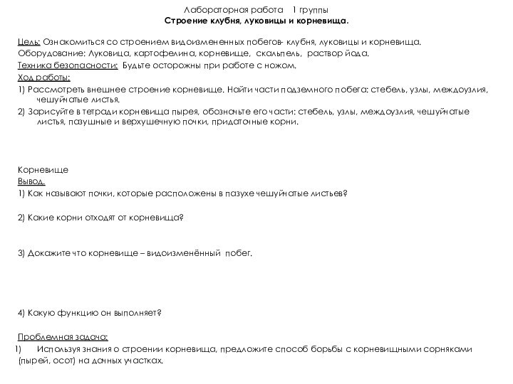 Лабораторная работа  1 группы Строение клубня, луковицы и корневища.Цель: Ознакомиться со