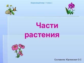 Части растений