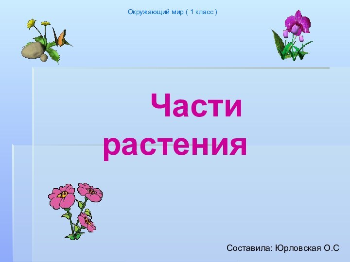 Части растения