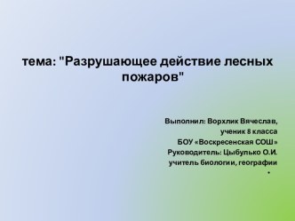 разрушающее действие лесніх пожаров