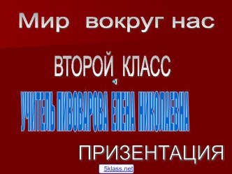 Мир вокруг нас