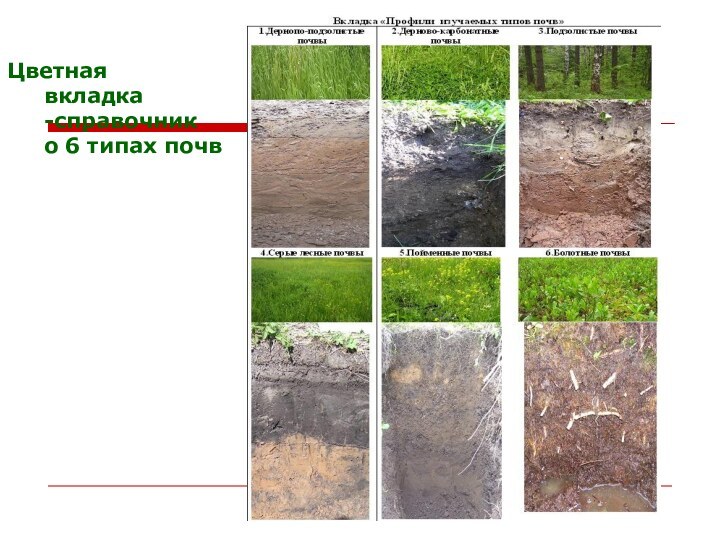 Цветная  вкладка -справочник  о 6 типах почв