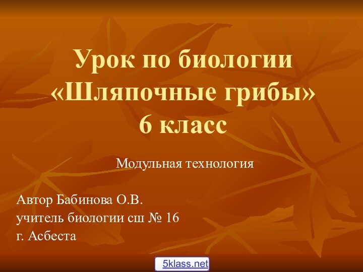 Урок по биологии «Шляпочные грибы» 6 класс   Модульная технологияАвтор Бабинова