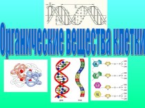 Органические вещества клетки