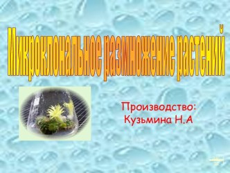 Микроклональное размножение растений