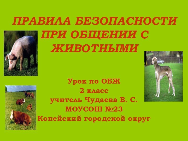 ПРАВИЛА БЕЗОПАСНОСТИ ПРИ ОБЩЕНИИ С ЖИВОТНЫМИУрок по ОБЖ2 классучитель Чудаева В. С. МОУСОШ №23Копейский городской округ