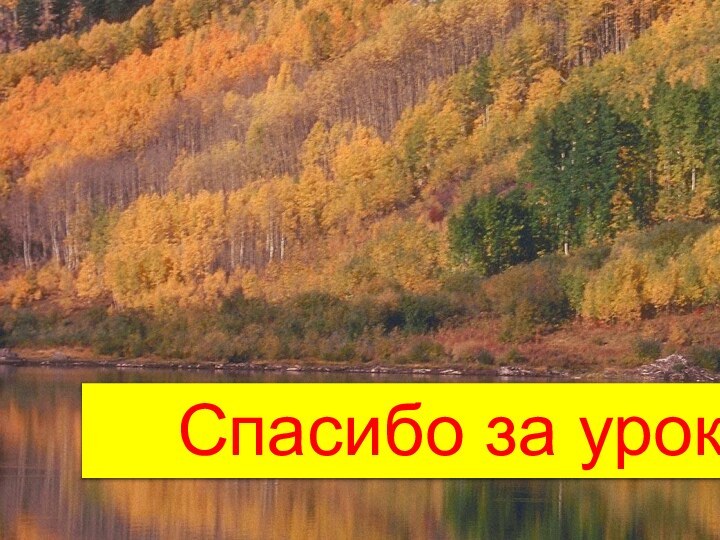 Спасибо за урок