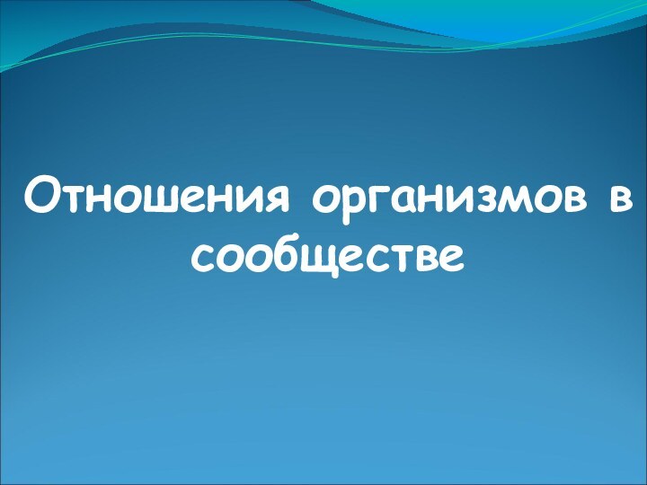 Отношения организмов в сообществе