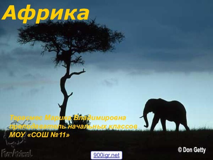 АфрикаТерасмес Марина Владимировнапреподаватель начальных классов МОУ «СОШ №11»