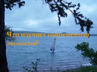 Что изучает современная экология