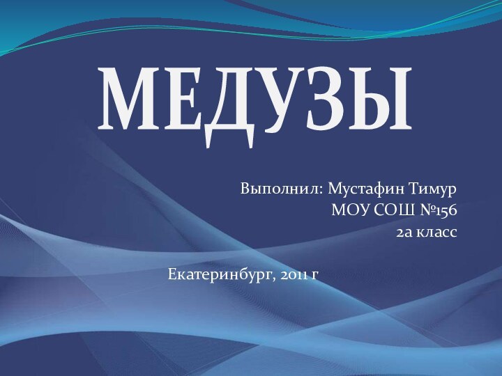 Выполнил: Мустафин ТимурМОУ СОШ №1562а классЕкатеринбург, 2011 гМЕДУЗЫ