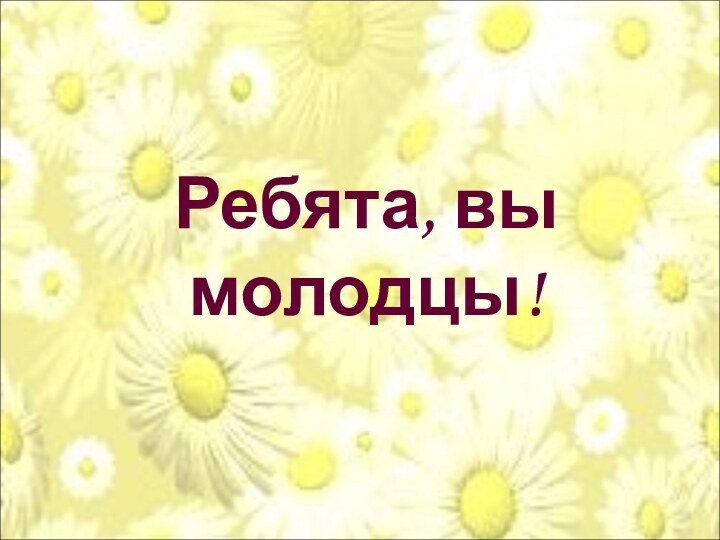 Ребята, вы молодцы!