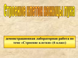 Строение клеток кожицы лука