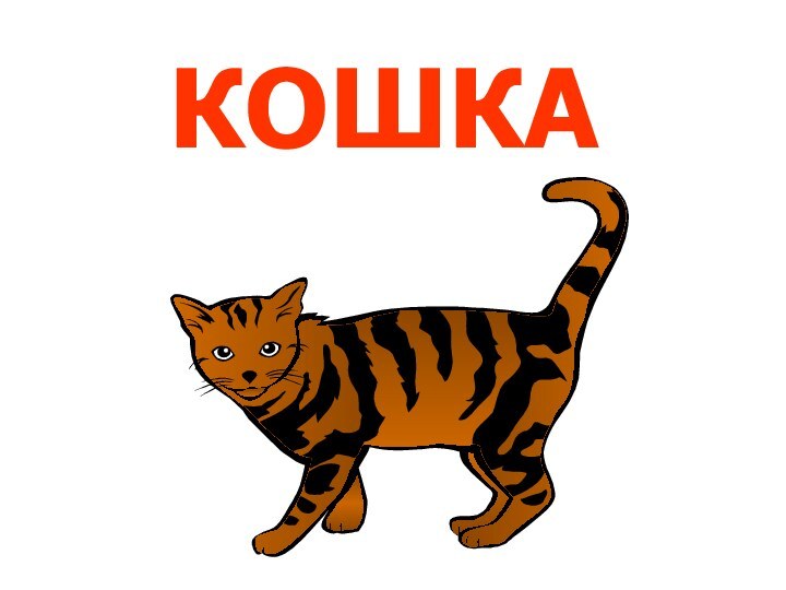 КОШКА