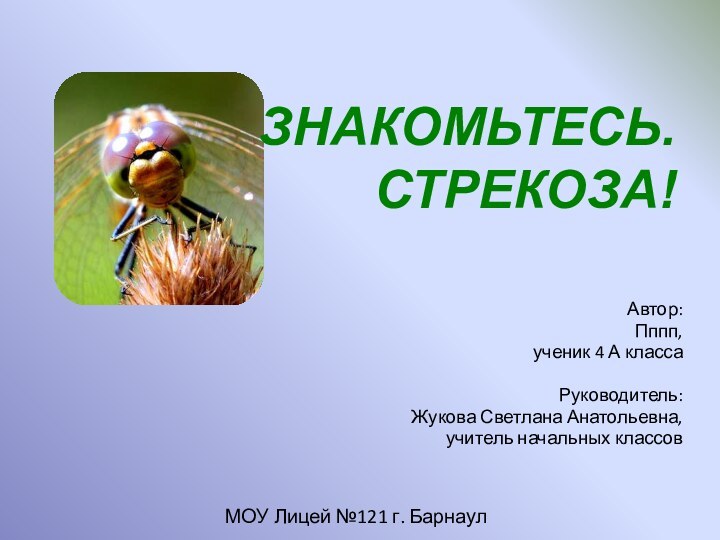 ЗНАКОМЬТЕСЬ.      СТРЕКОЗА!Автор:Пппп, ученик 4 А классаРуководитель:Жукова Светлана