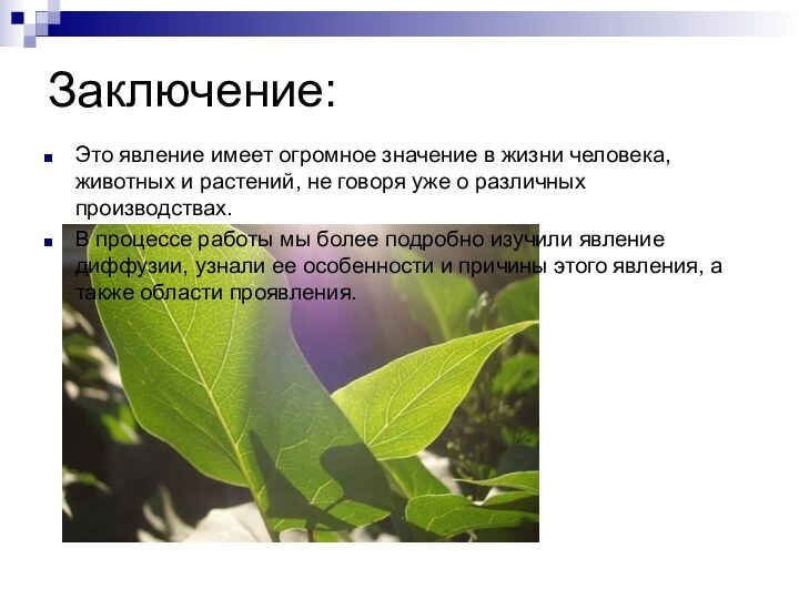 Заключение:Это явление имеет огромное значение в жизни человека, животных и растений, не