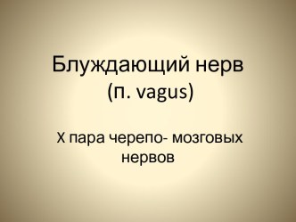 Блуждающий нерв