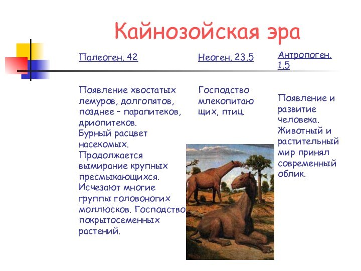 Кайнозойская эраПалеоген, 42    Появление хвостатых лемуров, долгопятов, позднее –