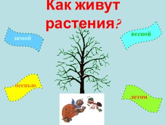 Как живут растения