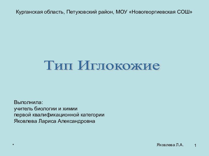 *Яковлева Л.А.Курганская область, Петуховский район, МОУ «Новогеоргиевская СОШ»Тип Иглокожие Выполнила:учитель биологии и