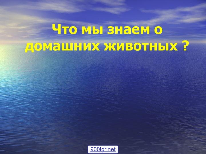 Что мы знаем о домашних животных ?