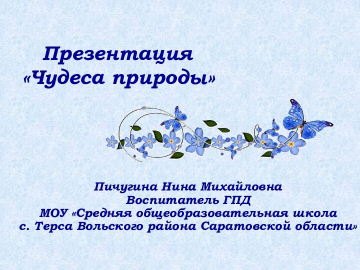 Пичугина Нина МихайловнаВоспитатель ГПД МОУ «Средняя общеобразовательная школа с. Терса Вольского района