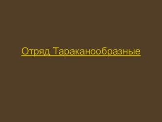 Отряд Тараканообразные