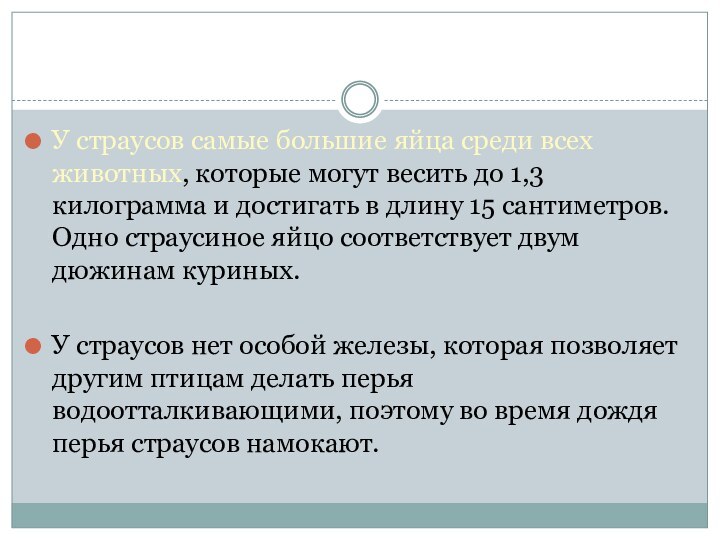 У страусов самые большие яйца среди всех животных, которые могут весить до