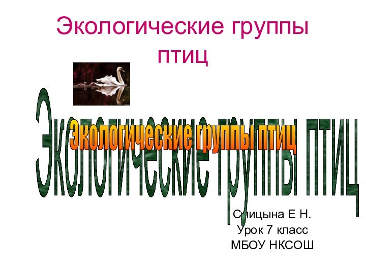 Экологические группы птицСпицына Е Н.Урок 7 классМБОУ НКСОШЭкологические группы птицЭкологические группы птиц