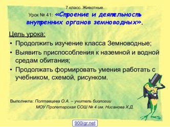 Внутреннее строение земноводных