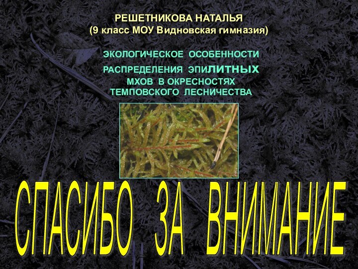 РЕШЕТНИКОВА НАТАЛЬЯ(9 класс МОУ Видновская гимназия)СПАСИБО  ЗА  ВНИМАНИЕ ЭКОЛОГИЧЕСКОЕ ОСОБЕННОСТИ