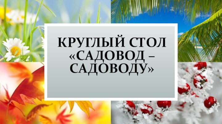 КРУГЛЫЙ СТОЛ «САДОВОД – САДОВОДУ»