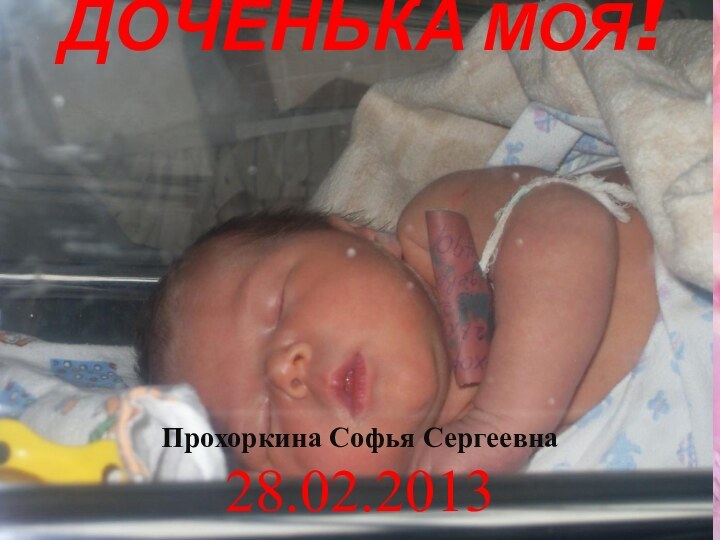 ДОЧЕНЬКА МОЯ! 	Прохоркина Софья Сергеевна28.02.2013