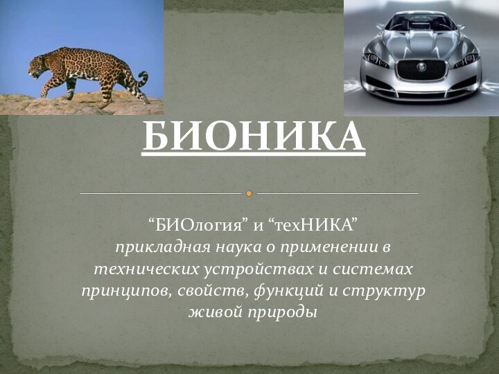 БИОНИКА “БИОлогия” и “техНИКА”  прикладная наука о применении в технических устройствах