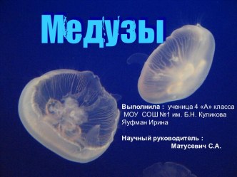 Медузы 4 класс