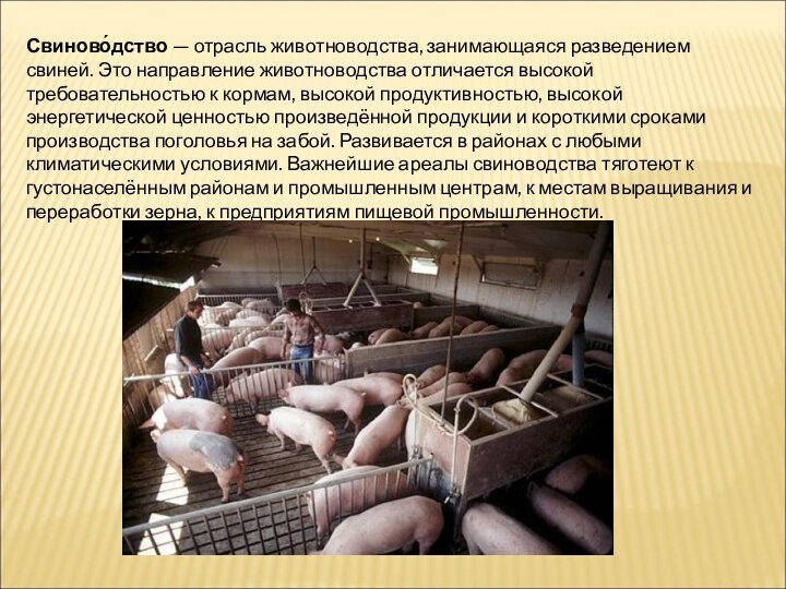 Свиново́дство — отрасль животноводства, занимающаяся разведением свиней. Это направление животноводства отличается высокой требовательностью